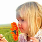 los niños deben empezar a aprender en la naturaleza