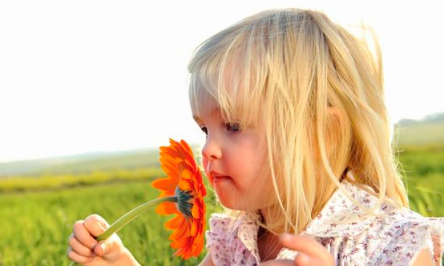 los niños deben empezar a aprender en la naturaleza