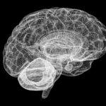 estado de trance prepara cerebro para conocimiento