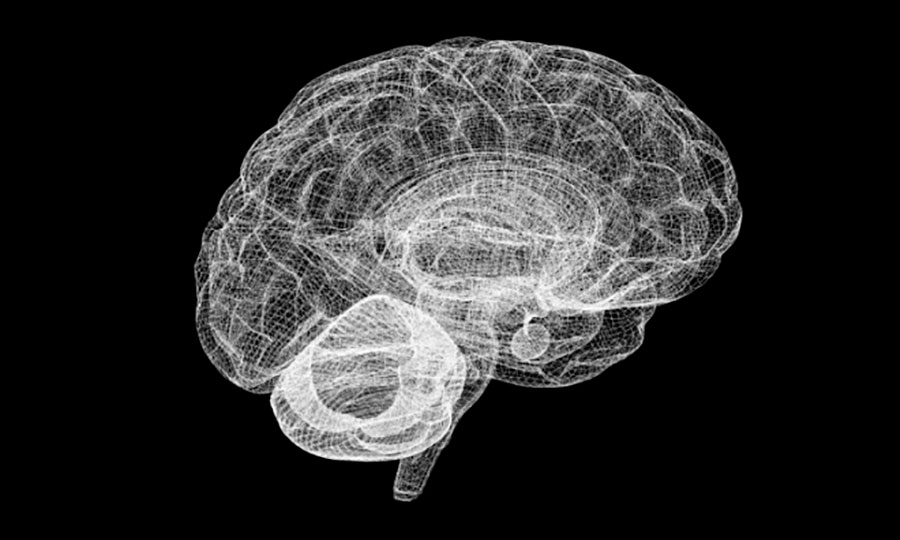 estado de trance prepara cerebro para conocimiento