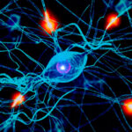 enfermedades mentales tienen misma causa