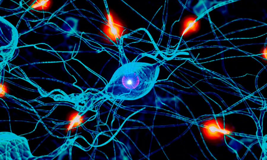 enfermedades mentales tienen misma causa
